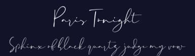 Paris Tonight by Sronstudio — Script Handwritten Font — thumbnail 2