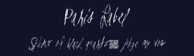 Paris Label by Xerographer Fonts — Script Handwritten Font — thumbnail 2
