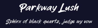 Parkway Lush by D&K Project — Script Handwritten Font — thumbnail 2