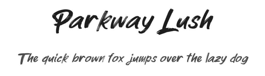 Parkway Lush by D&K Project β Script Handwritten Font