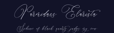 Parmidass Elarista by Storytype Studio — Script Handwritten Font — thumbnail 2