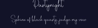 Partynight by Scratchones — Script Handwritten Font — thumbnail 2