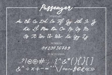 Passenger Font by Masha Artifex — Script Handwritten Font — thumbnail 8