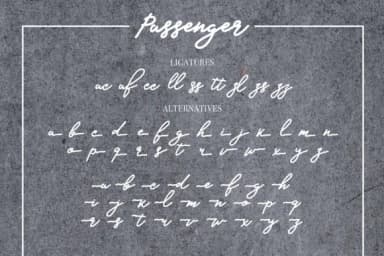 Passenger Font by Masha Artifex — Script Handwritten Font — thumbnail 9