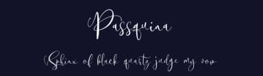 Passquina by Letter Battoyart — Script Handwritten Font — thumbnail 2