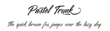 Pastel Trunk by Riyadh Rahman — Script Handwritten Font — thumbnail 1