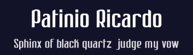 Patinio Ricardo by iAgency 1980 — Sans Serif Font — thumbnail 2