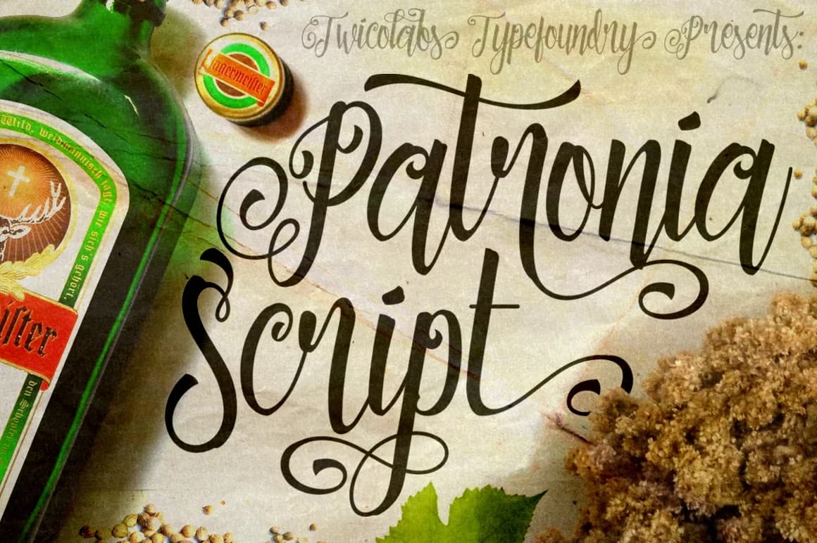 Patronia Font by Fontdation — Script Handwritten Font
