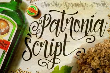 Patronia Font by Fontdation — Script Handwritten Font — thumbnail 1