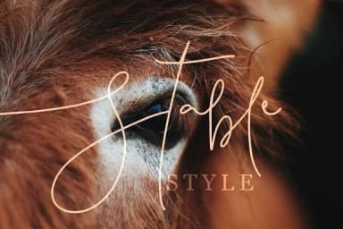 Pattersonville Script Font by Creativeqube Design — Script Handwritten Font — thumbnail 4