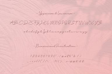 Paula Fluiton Font by RT Studio — Script Handwritten Font — thumbnail 6