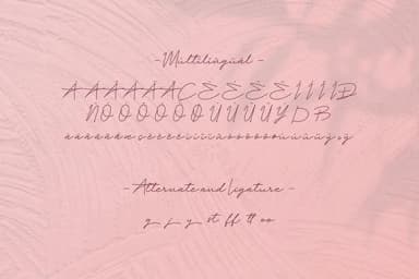 Paula Fluiton Font by RT Studio — Script Handwritten Font — thumbnail 7