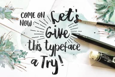 Paula Paulina Font by Blue Robin Design Shop — Script Handwritten Font — thumbnail 2