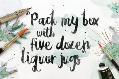 Paula Paulina Font by Blue Robin Design Shop — Script Handwritten Font — thumbnail 4