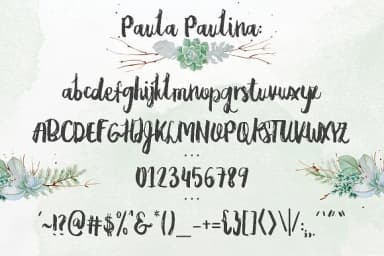 Paula Paulina Font by Blue Robin Design Shop — Script Handwritten Font — thumbnail 6