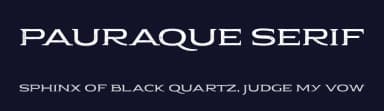 Pauraque Serif by NimaType — Serif Font — thumbnail 2