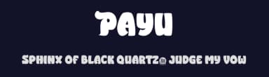 Payu by twinletter — Script Handwritten Font — thumbnail 2