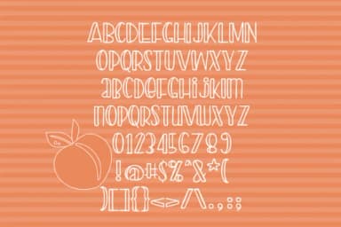 Peach Preserves Font by Illustration Ink — Script Handwritten Font — thumbnail 2