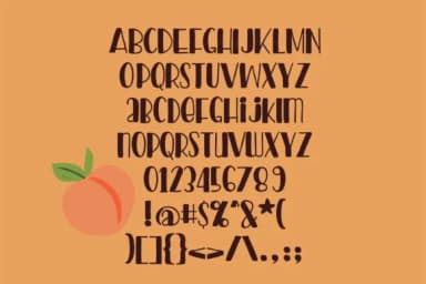 Peach Preserves Font by Illustration Ink — Script Handwritten Font — thumbnail 6