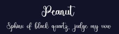 Peanut by Inermedia Studio — Script Handwritten Font — thumbnail 2