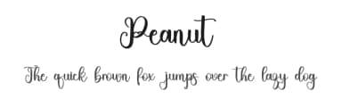 Peanut by Inermedia Studio — Script Handwritten Font — thumbnail 1