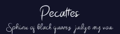 Pecattes by Prioritype Co — Script Handwritten Font — thumbnail 2