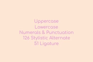 Pellittora Font by Mozyen Studio — Script Handwritten Font — thumbnail 6