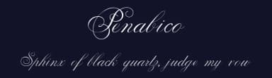Penabico by Intellecta Design — Script Handwritten Font — thumbnail 2
