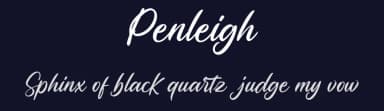 Penleigh by Vunira Design — Script Handwritten Font — thumbnail 2