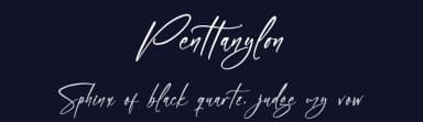Penttanylon by Letterena Studios — Script Handwritten Font — thumbnail 2