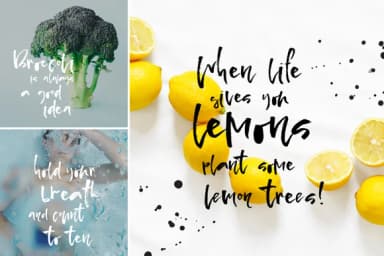 Pepper & Lemon Font by Favete Art — Script Handwritten Font — thumbnail 3