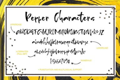 Pepper & Lemon Font by Favete Art — Script Handwritten Font — thumbnail 4