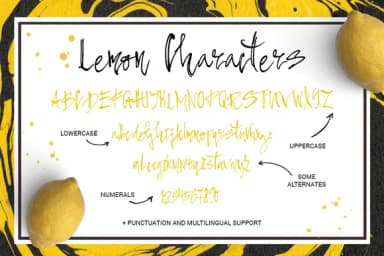 Pepper & Lemon Font by Favete Art — Script Handwritten Font — thumbnail 6