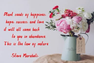 Peppermint Chic Font by liafcreativa — Script Handwritten Font — thumbnail 3