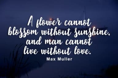 Peque Font by PointLab — Script Handwritten Font — thumbnail 2