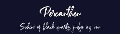 Percanthen by Vztype Studio — Script Handwritten Font — thumbnail 2