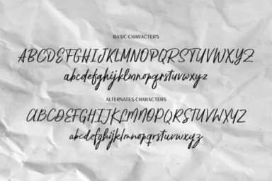 Pestapora Font by locomotype — Script Handwritten Font — thumbnail 7