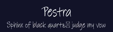 Pestra by Digital Typeface Studio — Script Handwritten Font — thumbnail 2