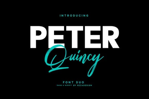 Peter Quincy Font by Grezline Studio — Script Handwritten Font
