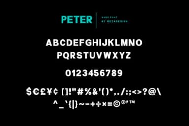 Peter Quincy Font by Grezline Studio — Script Handwritten Font — thumbnail 6