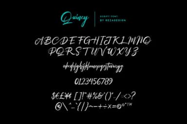 Peter Quincy Font by Grezline Studio — Script Handwritten Font — thumbnail 7