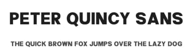 Peter Quincy Sans by Akhmad Reza Fauzi — Sans Serif Font — thumbnail 1