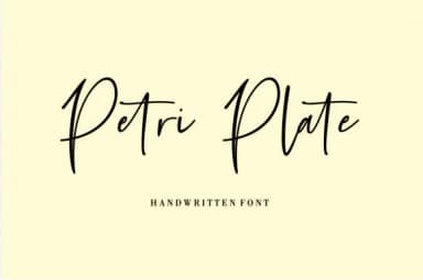 Petri Plate Font by Fikryal Studio — Script Handwritten Font — thumbnail 1