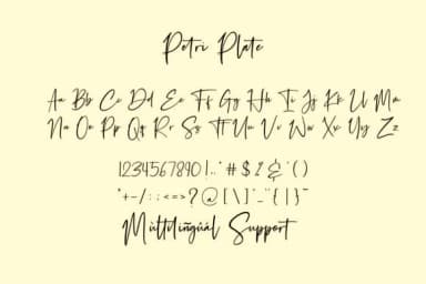 Petri Plate Font by Fikryal Studio — Script Handwritten Font — thumbnail 8