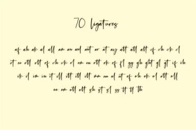 Petri Plate Font by Fikryal Studio — Script Handwritten Font — thumbnail 9