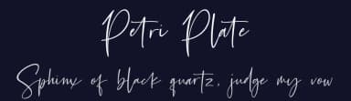 Petri Plate by Fikryal studio — Script Handwritten Font — thumbnail 2
