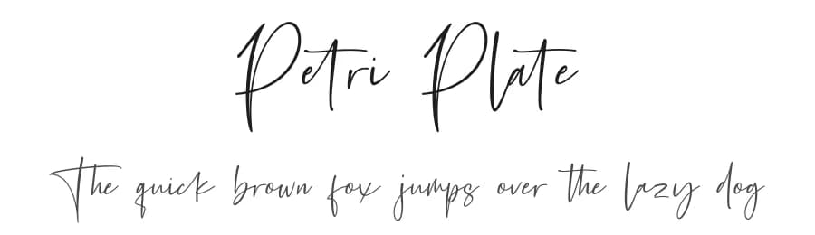 Petri Plate by Fikryal studio — Script Handwritten Font