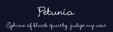 Petunia by Sahirul Iman — Script Handwritten Font — thumbnail 2
