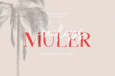 Phillips Muler Font by Bluestudio — Script Handwritten Font — thumbnail 1
