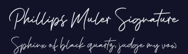 Phillips Muler Signature by Blue Studio09 — Script Handwritten Font — thumbnail 2